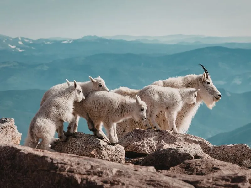 voh-tu-vi-cuoi-tuan-14-15-3-1