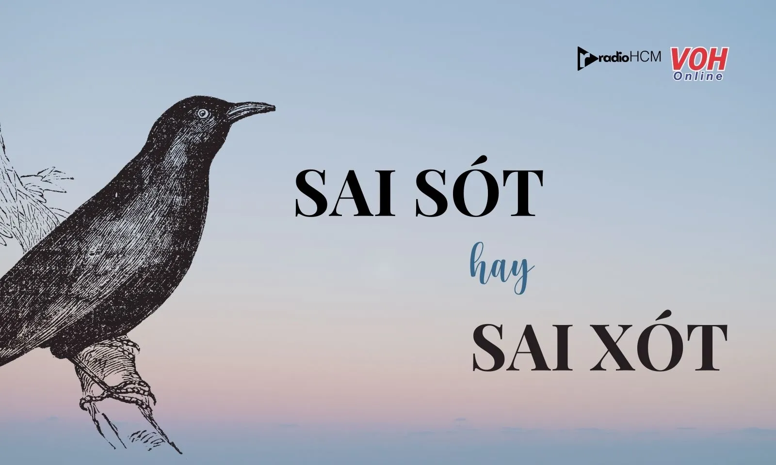 Sai sót hay sai xót, từ nào đúng chính tả?