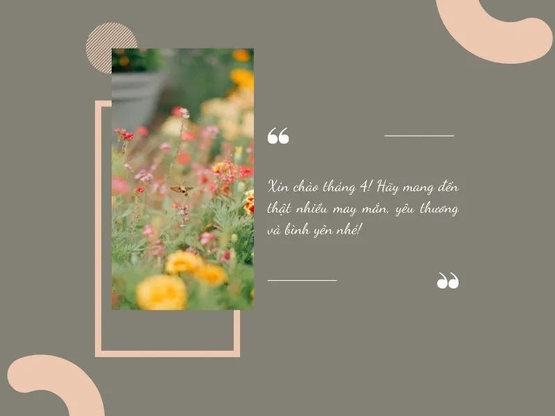 voh-stt-chao-thang-4-2