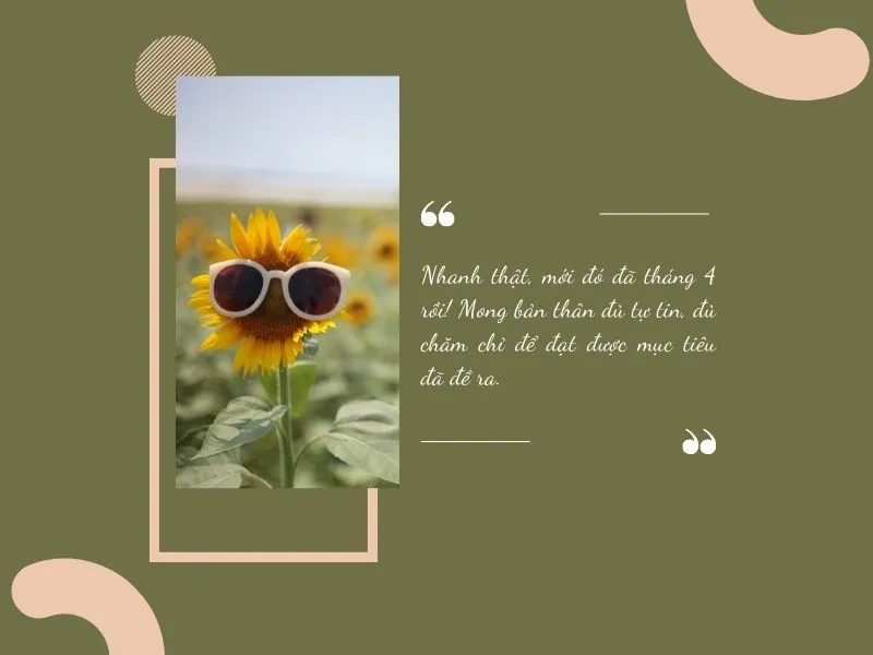 voh-stt-chao-thang-4-3