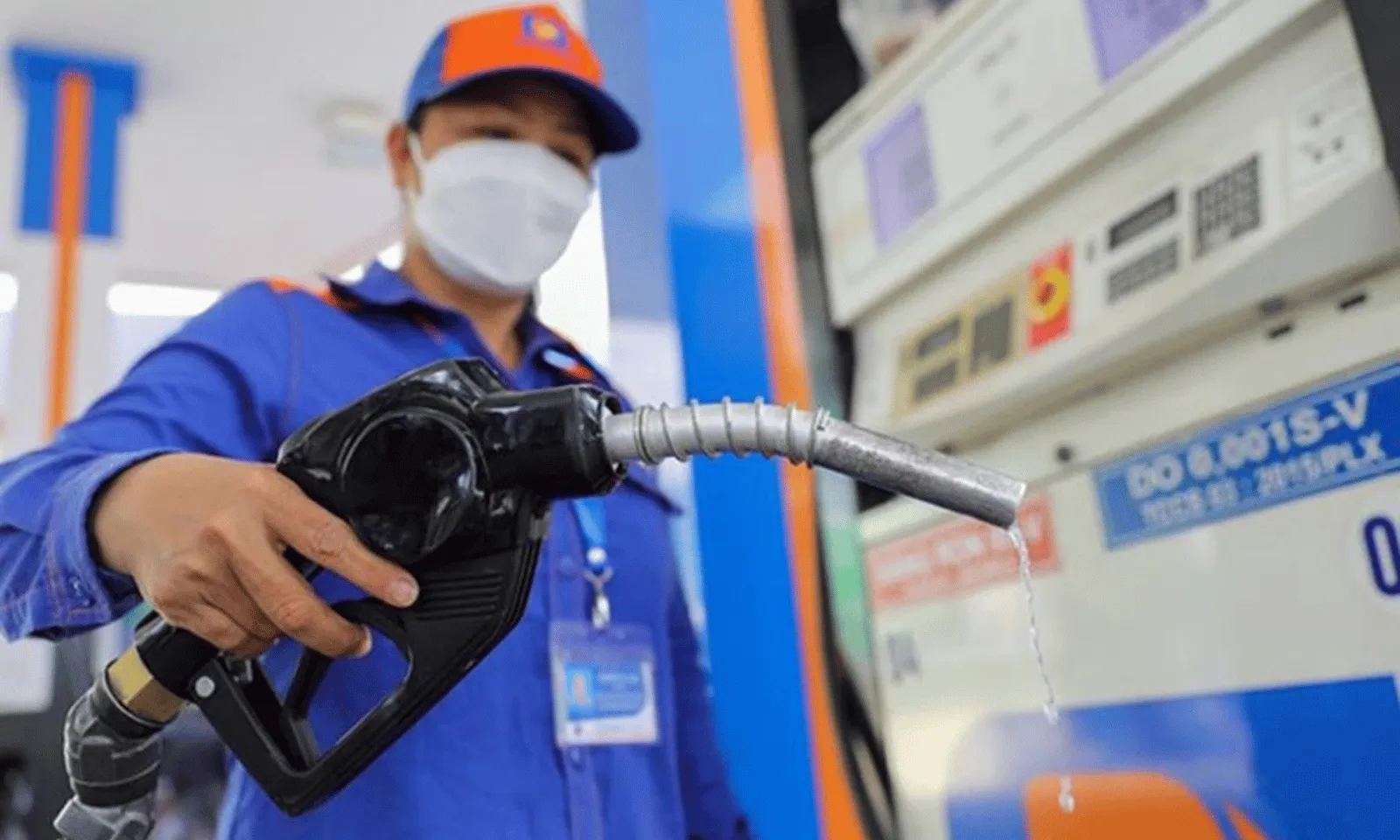 ảnh minh họa + thumb  - 1