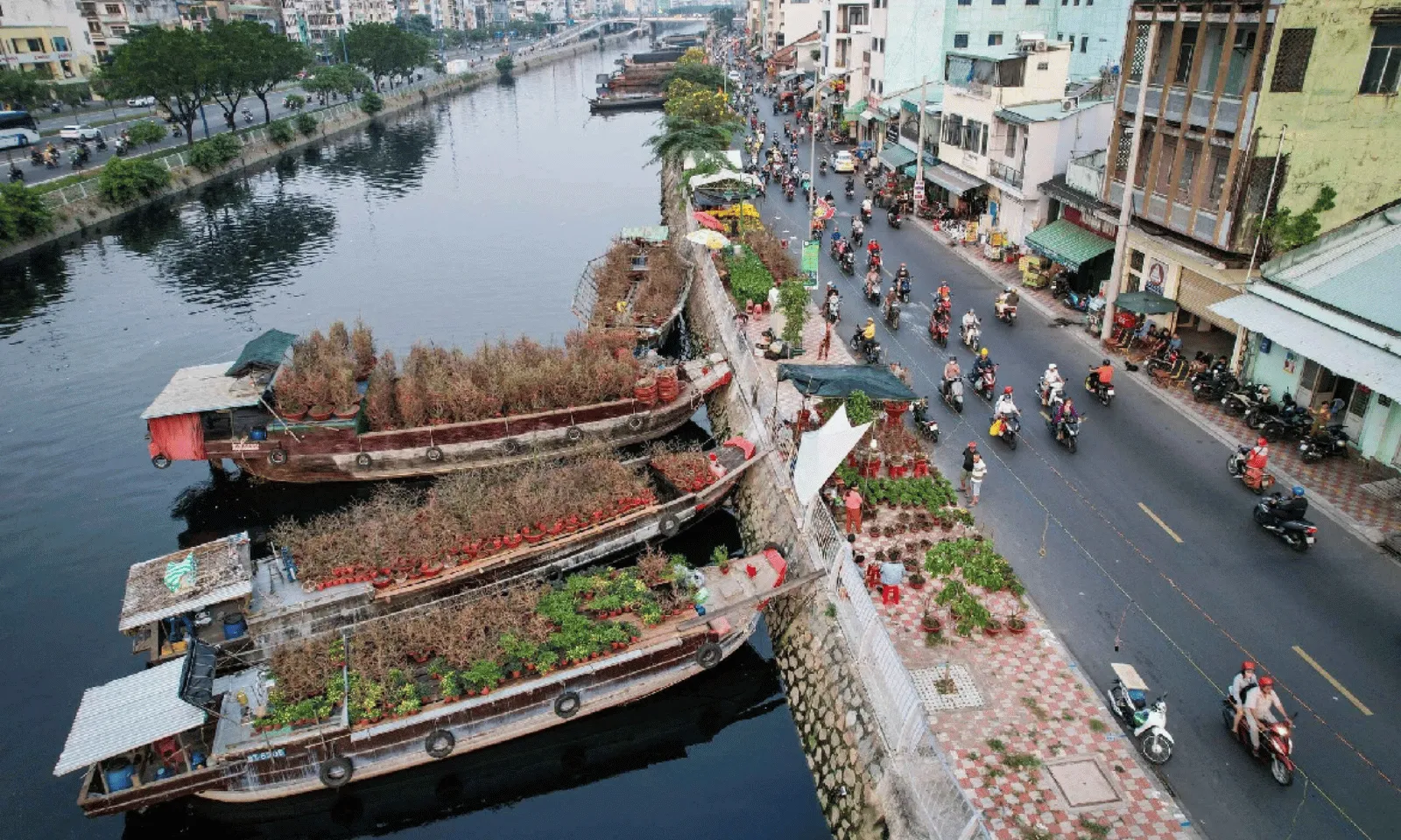 ảnh minh họa + thumb  - 2