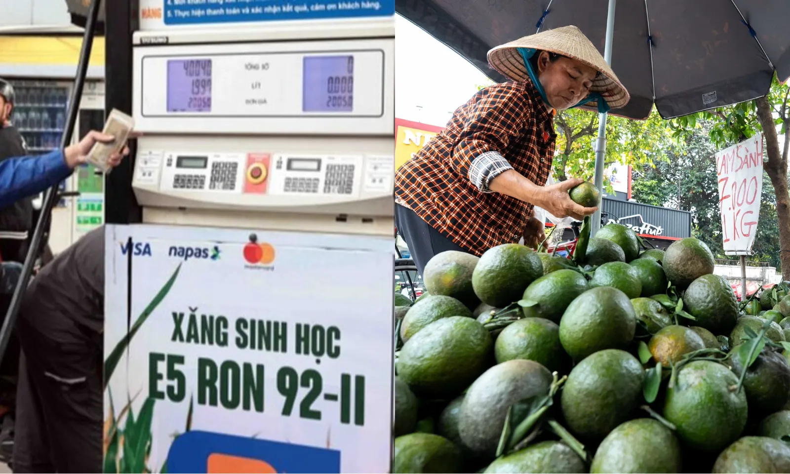 Điểm tin sáng 22/3: Petrolimex sẽ chuyển qua xăng sinh học | Cam sành, dưa hấu,... rớt giá thê thảm