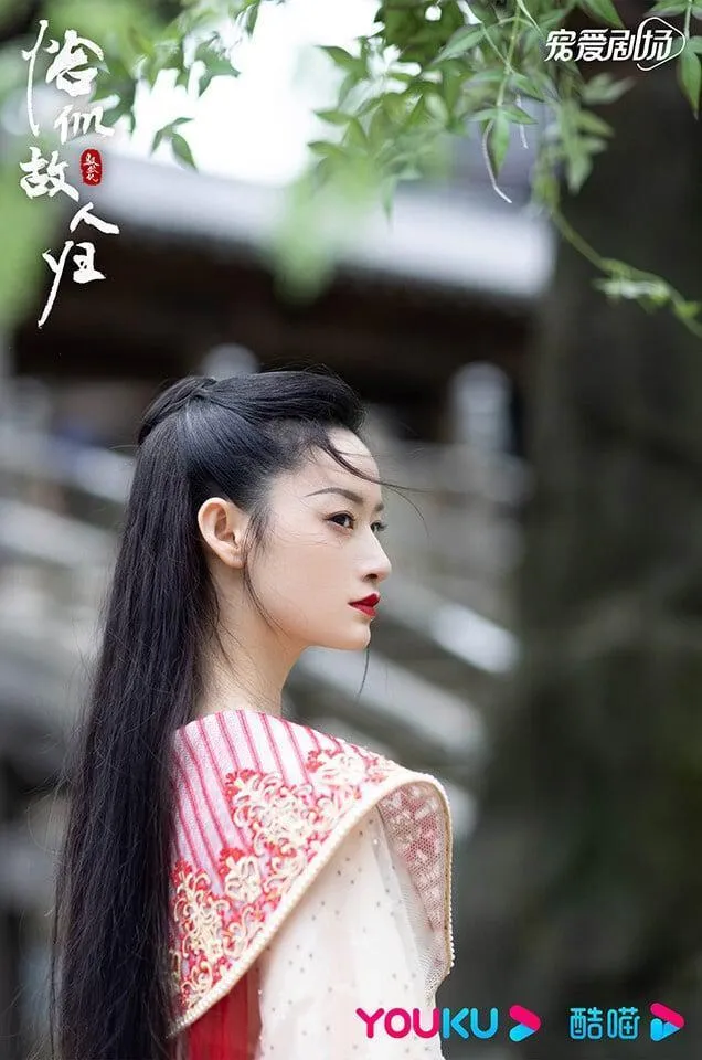 9 nữ diễn viên Hoa ngữ 'vạn niên nữ phối': Có nhan sắc, thực lực nhưng thiếu vận may 6