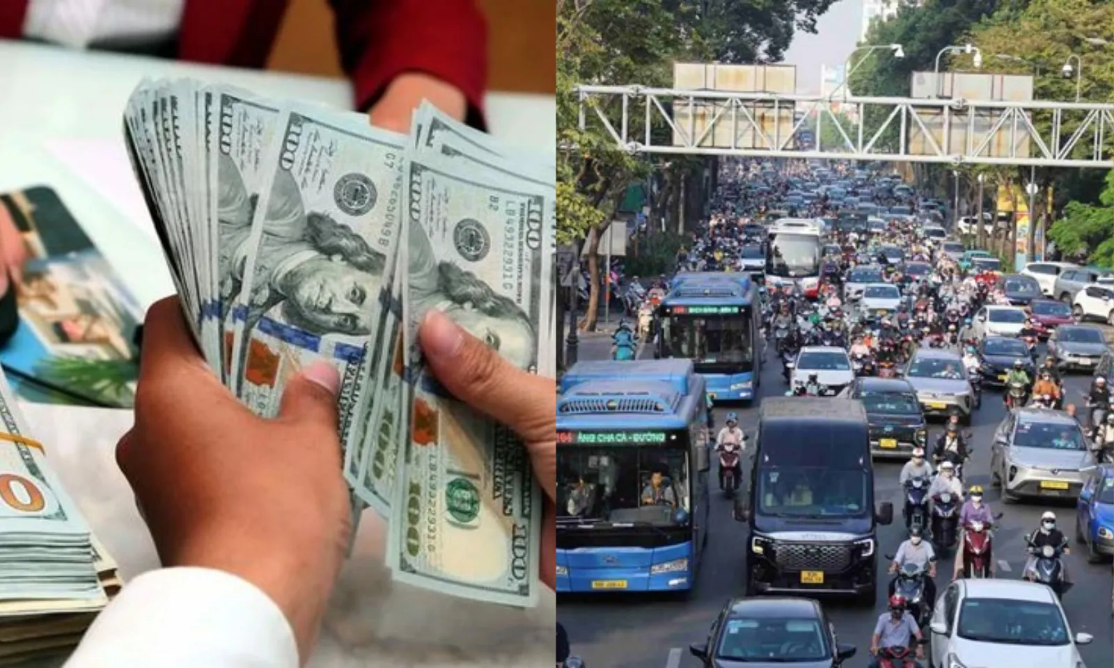 Điểm tin trưa 24/03: Giá USD giảm | Hạn chế xe ô tô từ 7 chỗ tại trung tâm TPHCM vào ngày 25/3