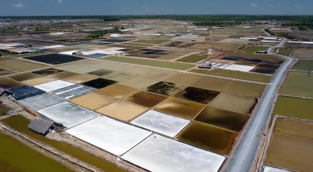 22222_20260325115959