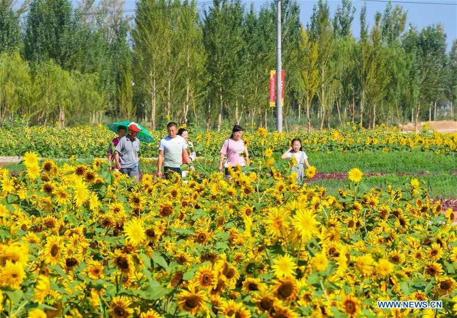 137379488_15338227990031n