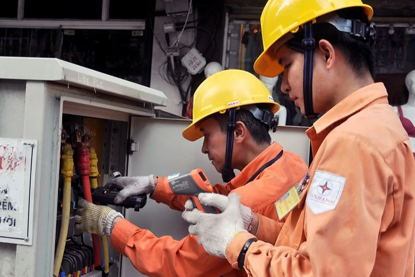 de-xuat-ngung-xuat-canh-cat-dien-nuoc-cuong-che-trong-xu-phat-hanh-chinh