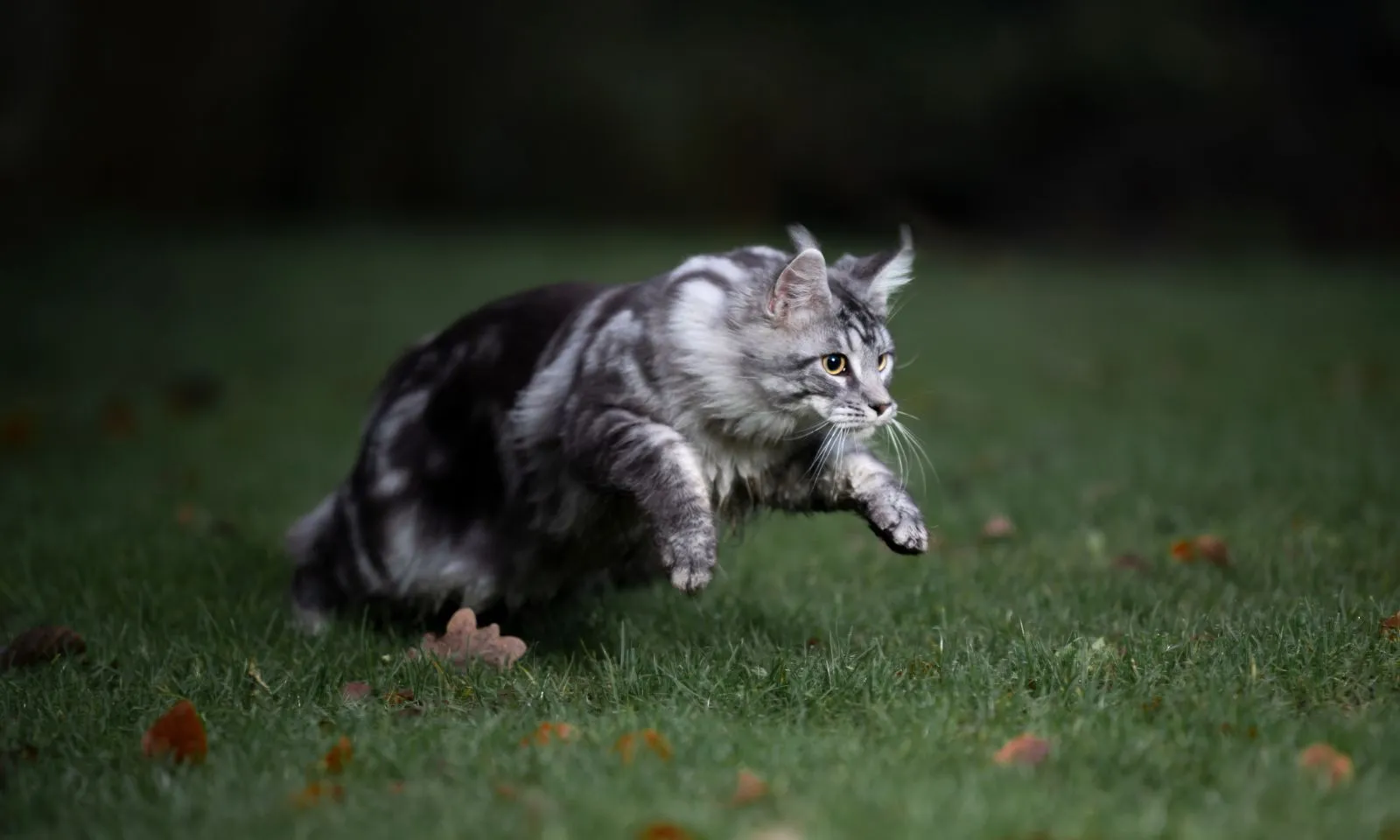 3 con giáp vận đỏ như son, hốt vàng hốt bạc cuối tháng 3/2026