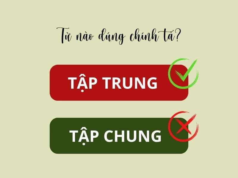 voh-tap-trung-hay-tap-chung-1