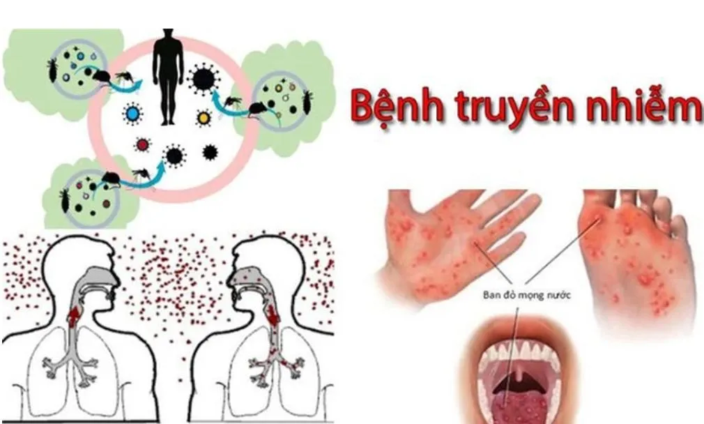 Ảnh chụp màn hình (528)