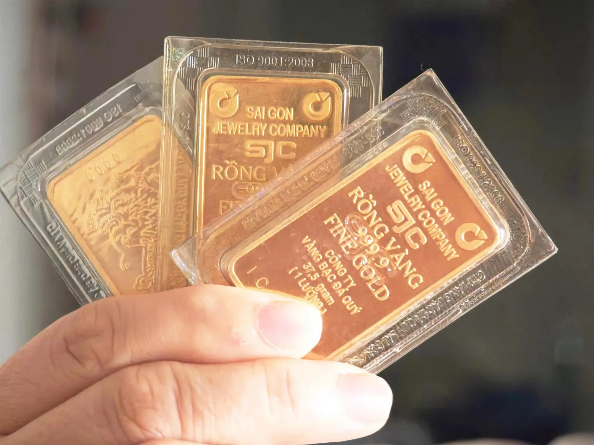 z7672627174346_dc5af0d86153968004dfc221213e3131