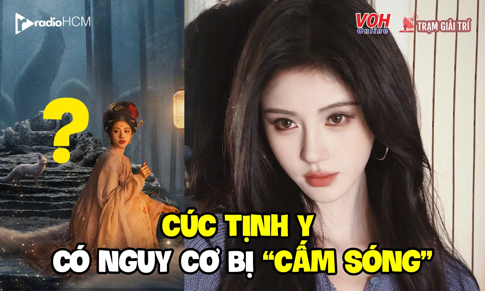 Cúc Tịnh Y bị công ty cũ tố trốn thuế 88%, cuộc chiến cá chết lưới rách