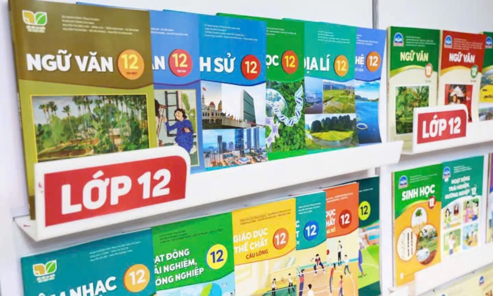 ảnh minh họa + thumb  - 2