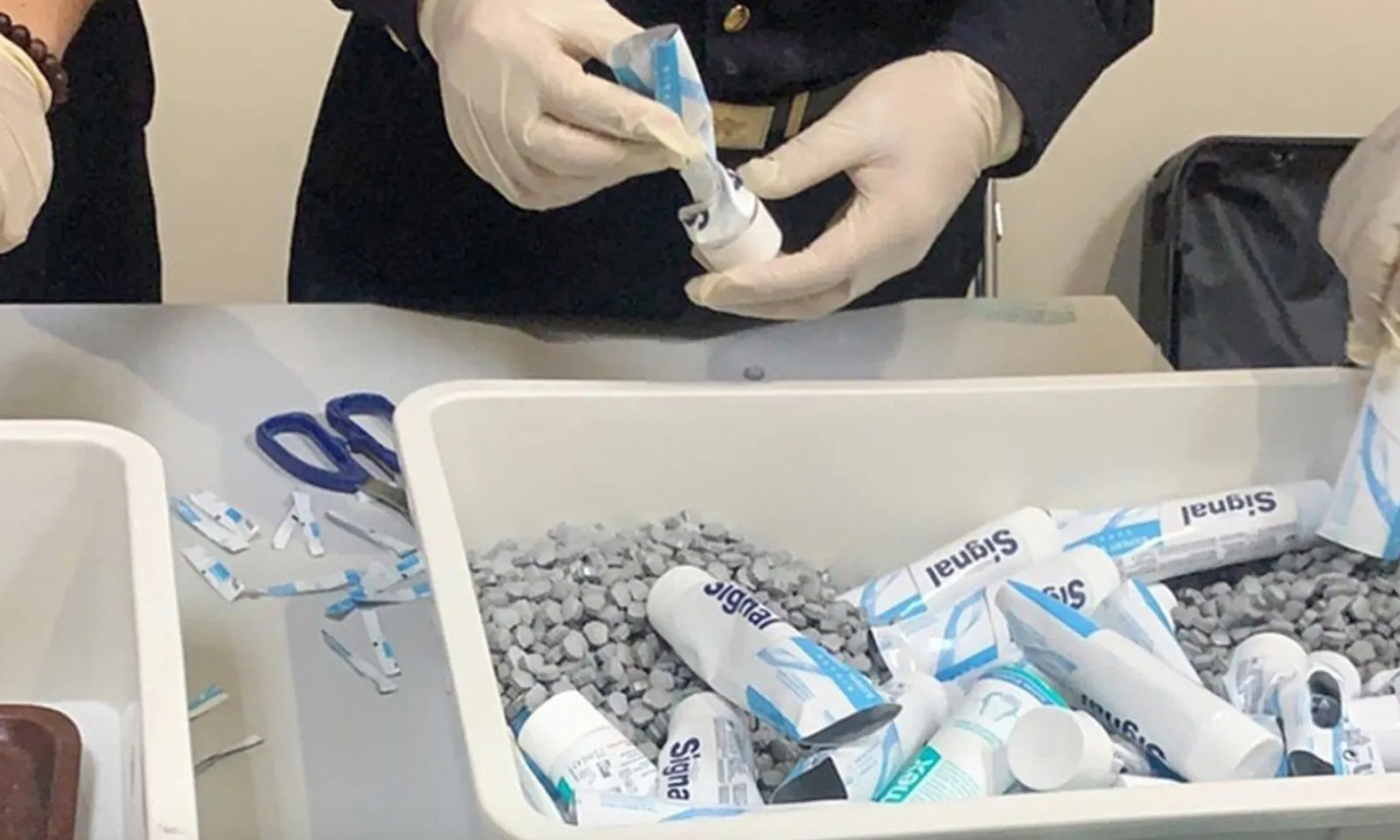 Vụ 4 tiếp viên hàng không vận chuyển ma túy: Truy tố ca sĩ Chi Dân, người mẫu An Tây và 225 bị can