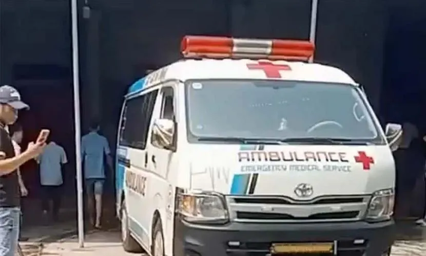 Chủ nhà bị chó becgie cắn tử vong