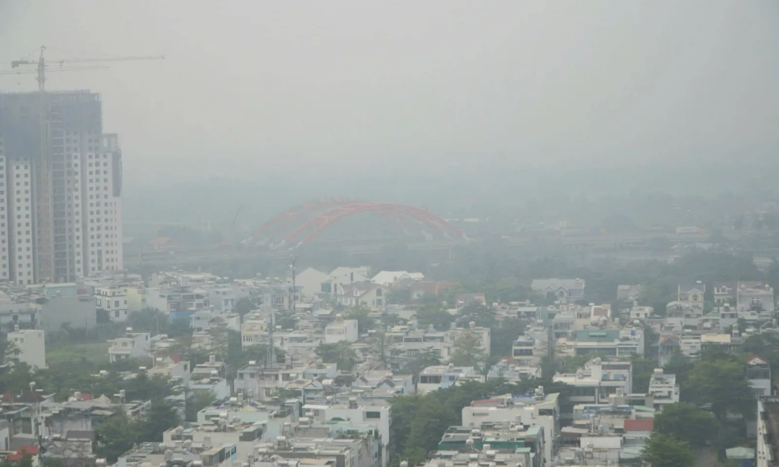 Bản sao của thumb liên cầu lợn - 318