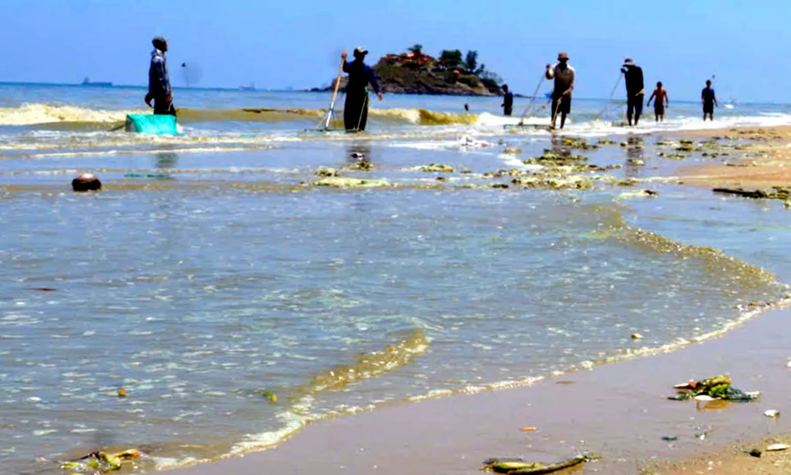 Bản sao của thumb liên cầu lợn - 319