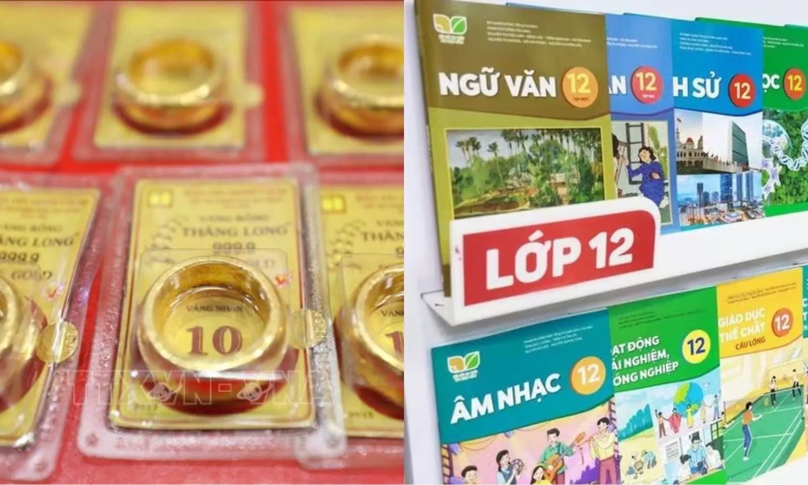 Điểm tin trưa 4/4: Giá vàng sáng tiếp tục hồi phục | Miễn phí sách giáo khoa trên toàn quốc từ 2029