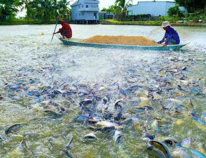 Bất chấp xung đột Trung Đông, Xuất khẩu nông lâm thủy sản Việt Nam quý I/2026 đạt gần 17 tỷ USD