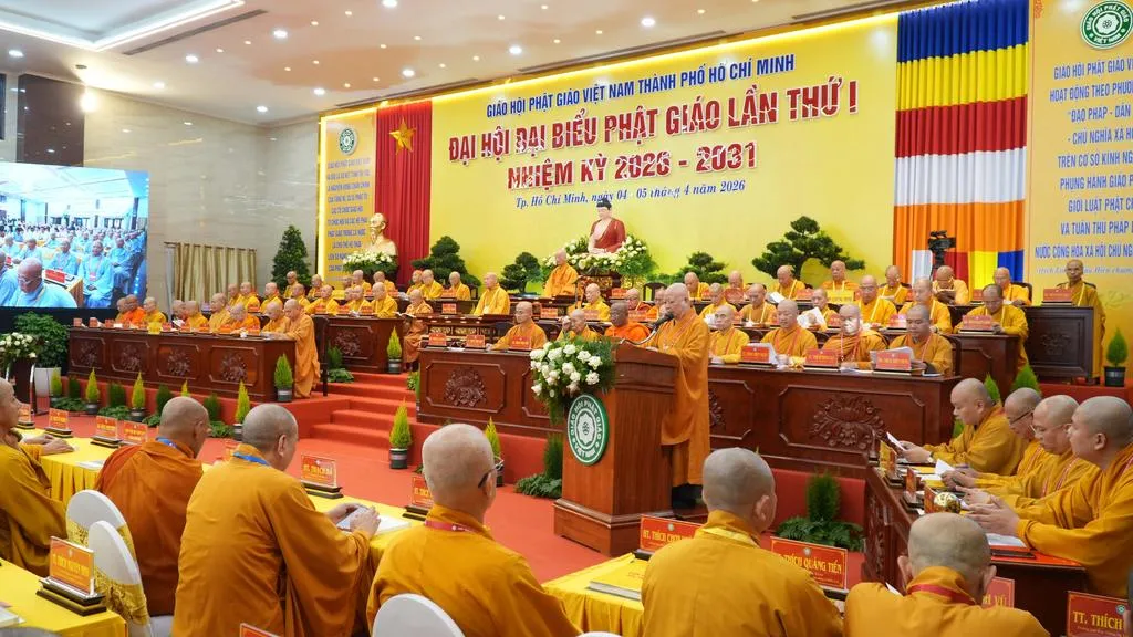 dsc09665_20260405124506