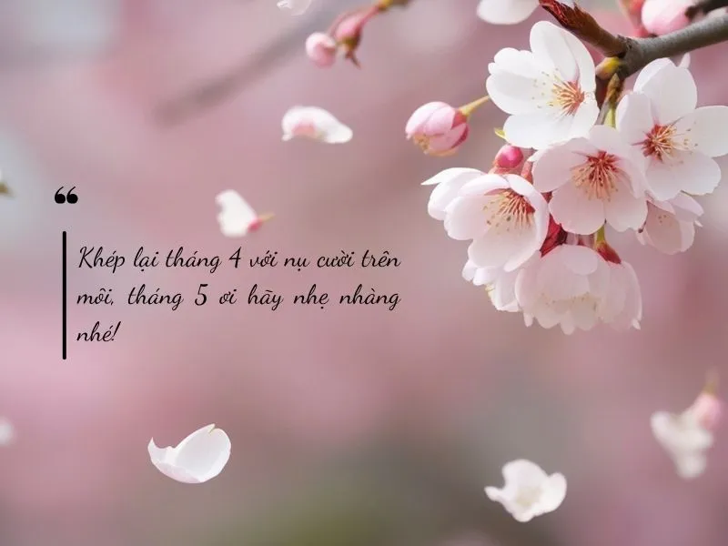 voh-stt-tam-biet-thang-4-2