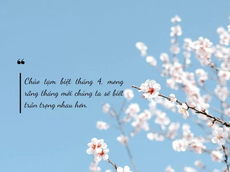 voh-stt-tam-biet-thang-4-3