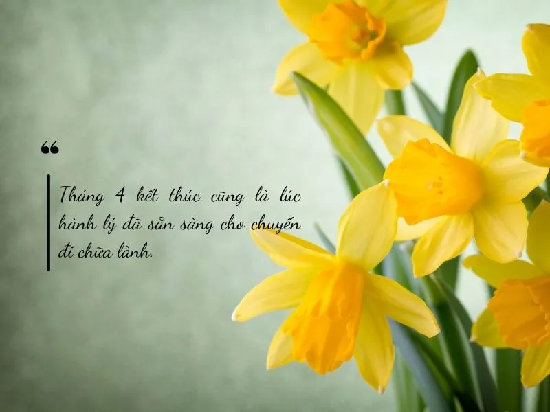 voh-stt-tam-biet-thang-4-5