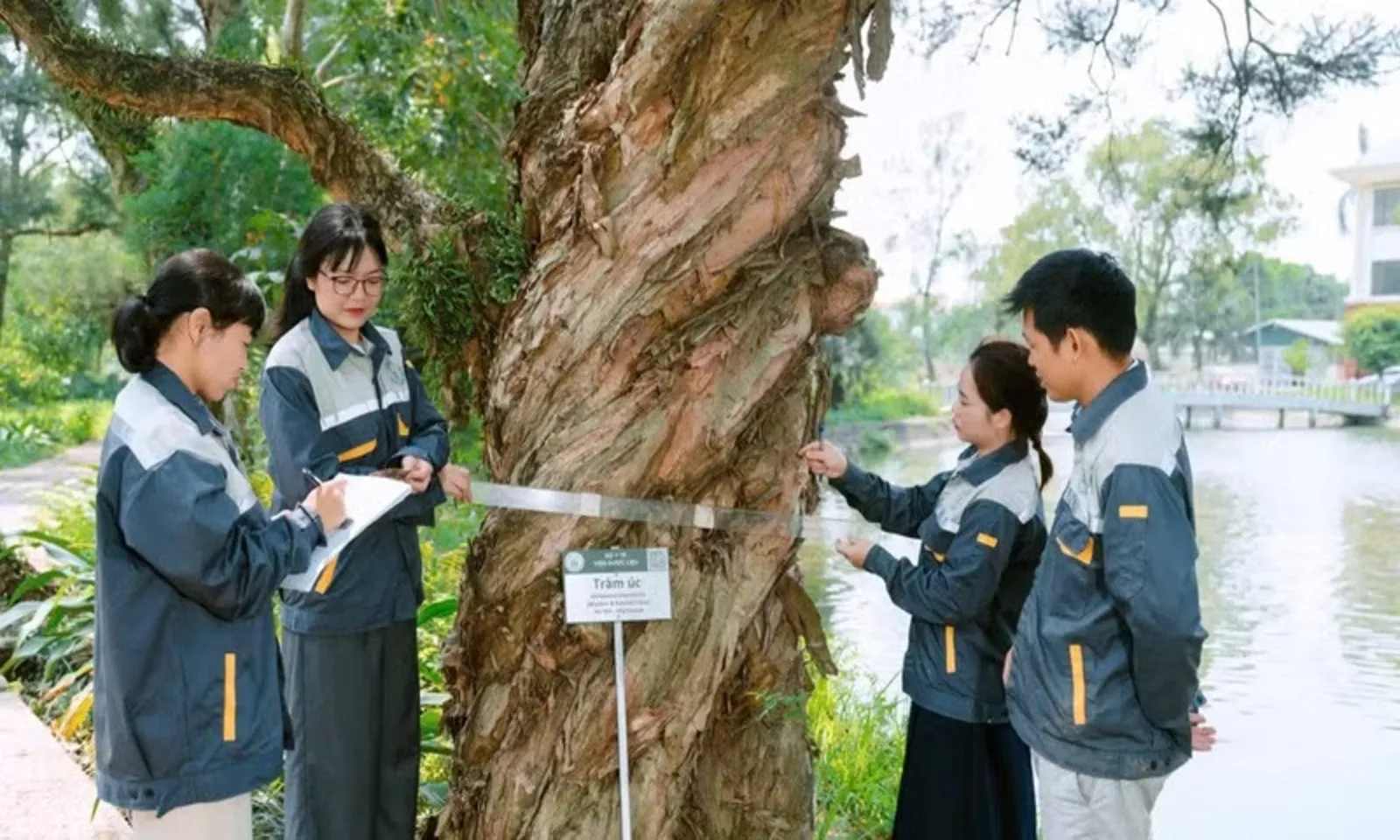 Công nghệ nâng tầm dược liệu Việt bảo tồn, hiện đại hóa và phát triển bền vững – Hình 1