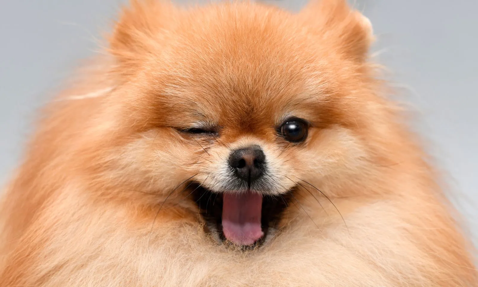 4 con giáp có vận mua nhà, tậu đất trong 6 tháng tới