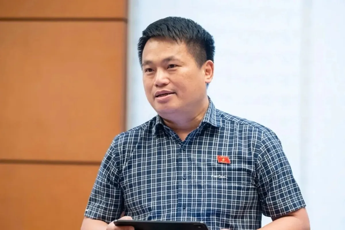 Đại biểu Đặng Ngọc Huy phát biểu thảo luận tại tổ