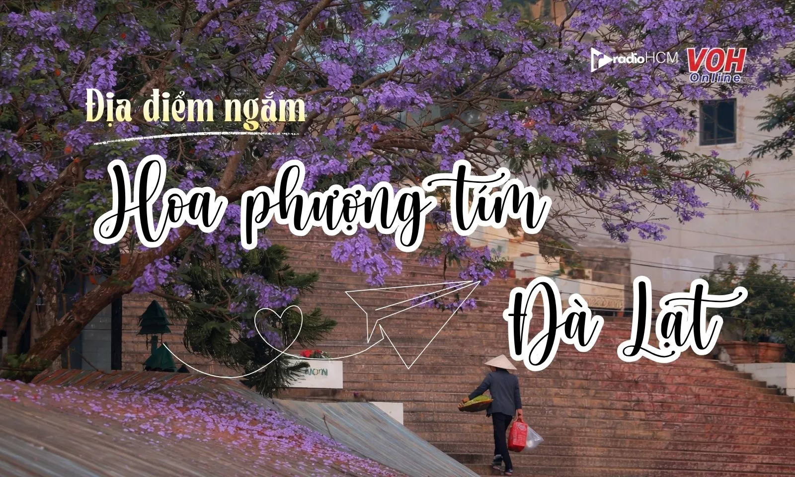 Top 7 địa điểm ngắm hoa phượng tím Đà Lạt đẹp nhất năm 2026