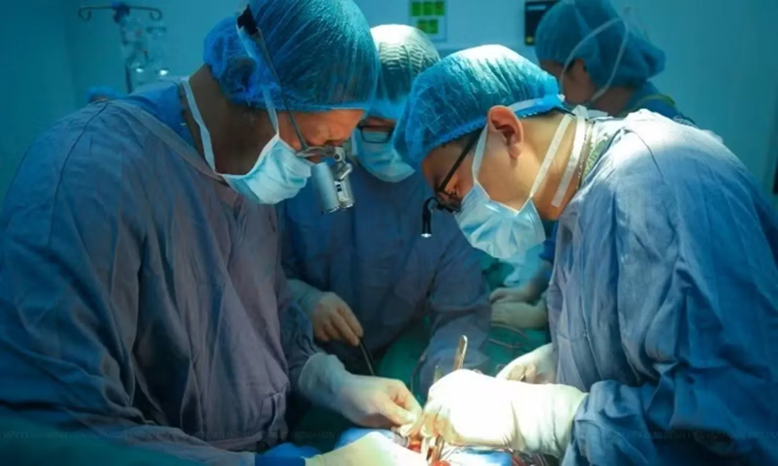 Phạt tới 100 triệu đồng nếu ép buộc hiến mô, tạng – Hình 1