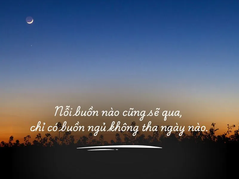 voh-stt-ve-giac-ngu-5