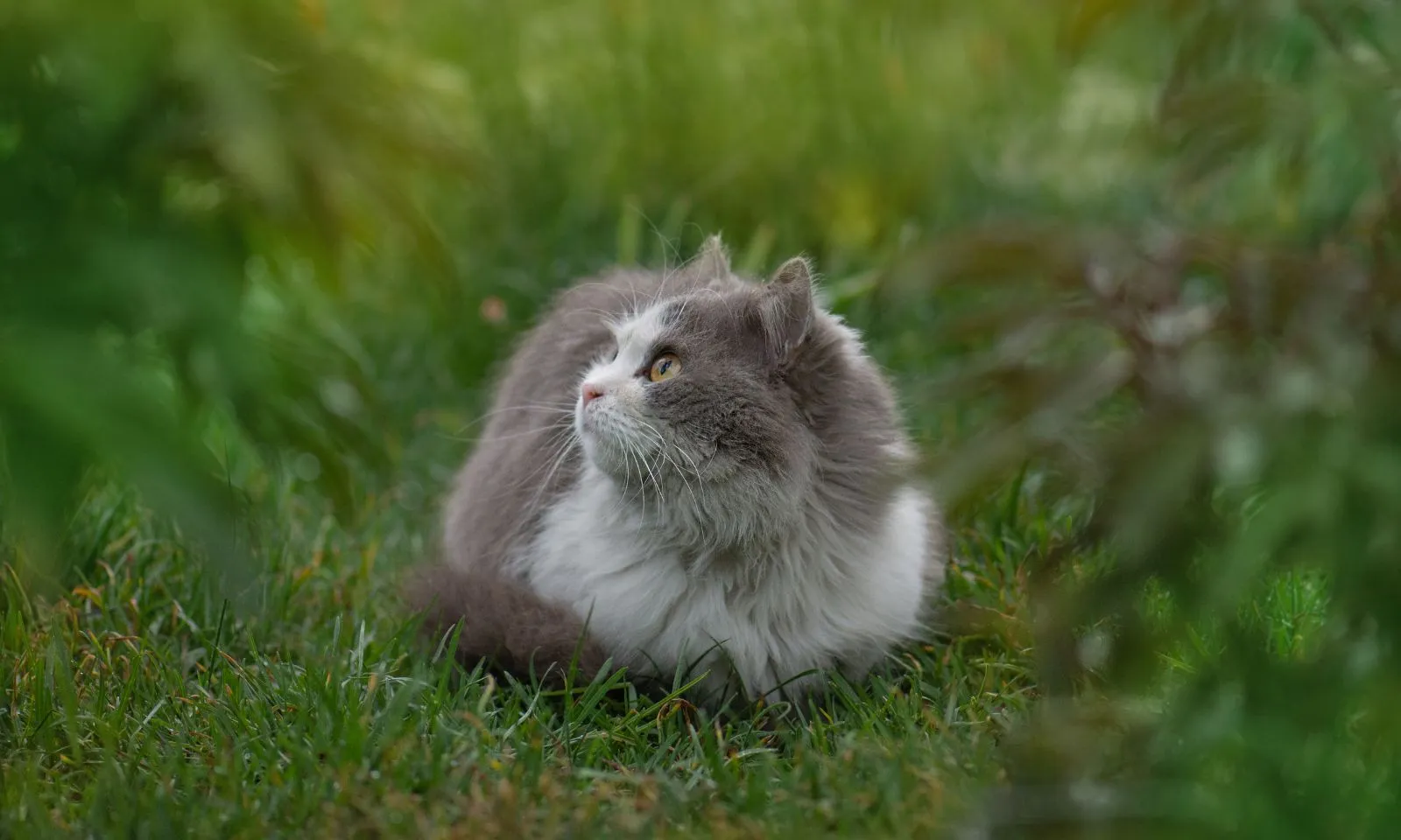 Tháng 3 Âm lịch: 3 con giáp vận đỏ như son, tiền trút như mưa