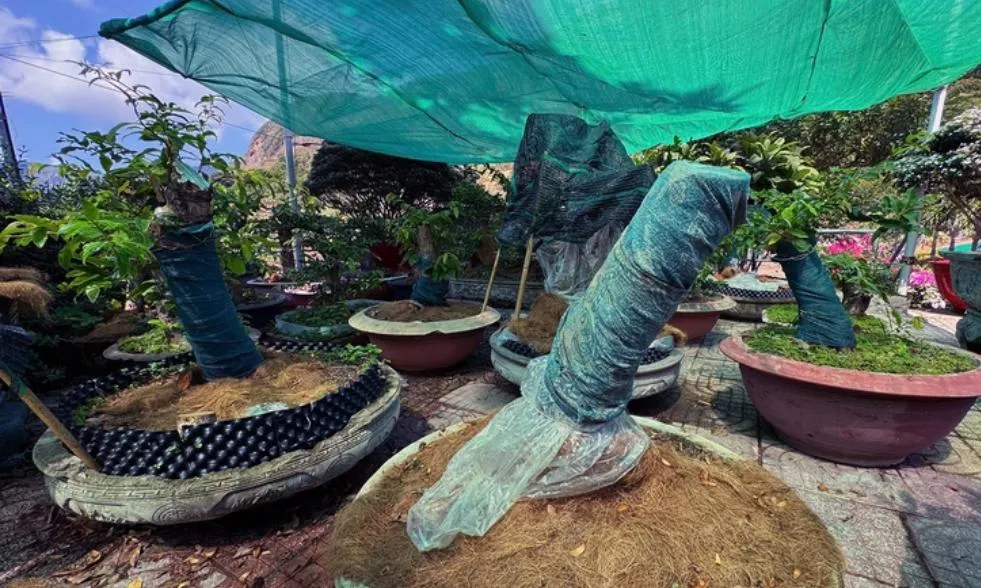 Ảnh chụp màn hình (651)