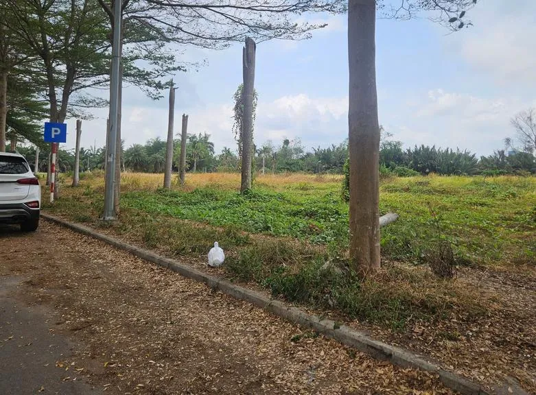 z7740896485953-7bfc61b2ffa2dd4b0e3c4d096c8e47ec_20260419114622