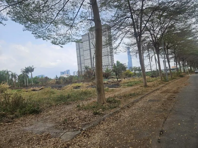 z7740895120495-f459bfb3281d46dd99c61e85f77b76e6_20260419114833