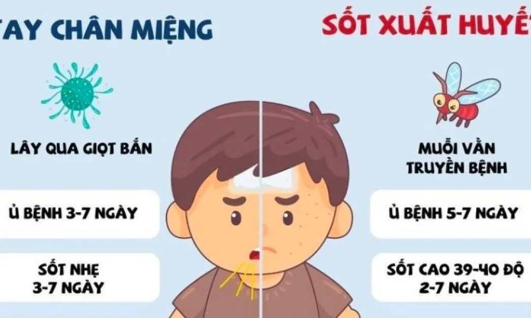 Cảnh báo nguy cơ dịch bệnh bùng phát