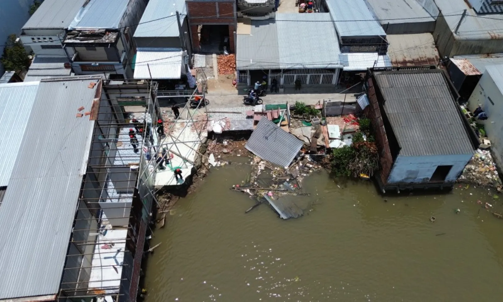 Bản sao của thumb liên cầu lợn - 318