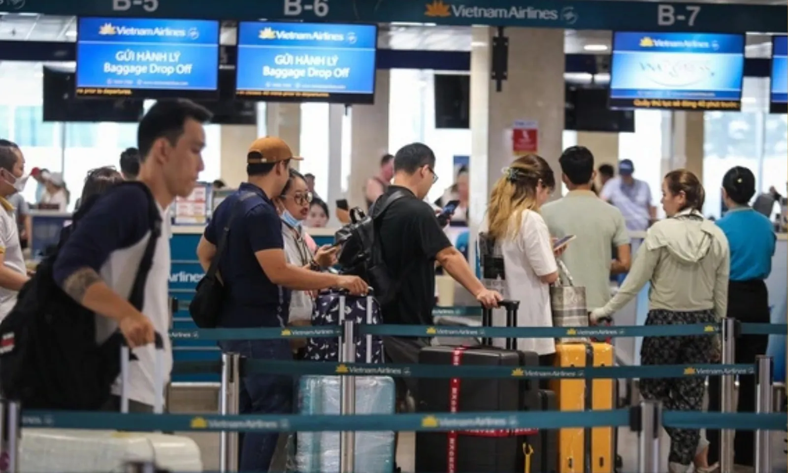 Bản sao của thumb liên cầu lợn - 319