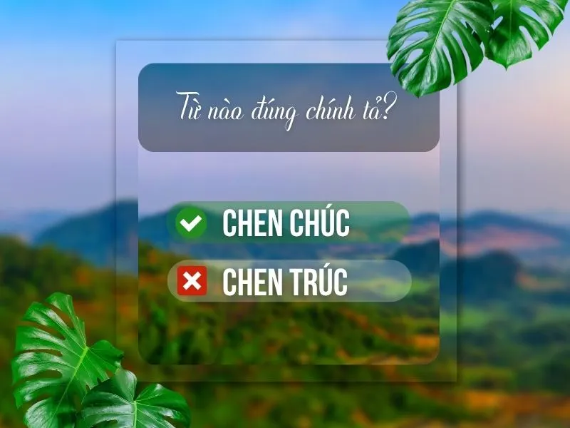 voh-chen-chuc-hay-chen-truc-1