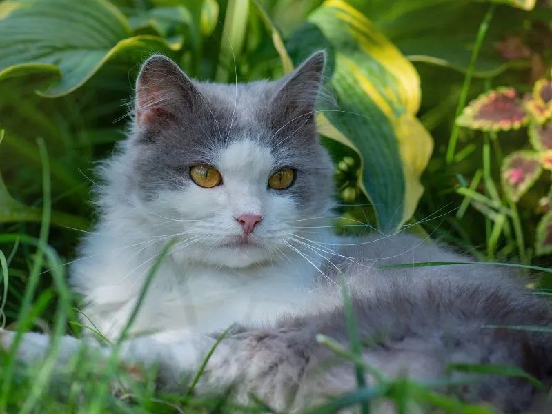 voh-con-giap-duoc-quy-nhan-phu-tro-3-thang-he-2026-2