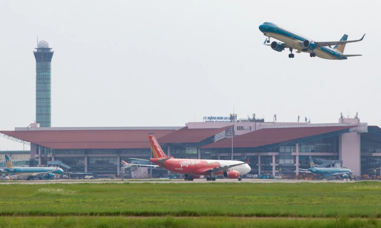 ảnh minh họa + thumb  - 2