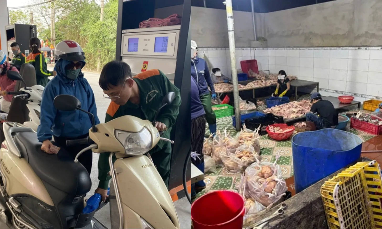 Điểm tin chiều 23/4: Giá xăng dầu tiếp tục giảm|Bộ Y tế đề xuất phạt 100 triệu về an toàn thực phẩm