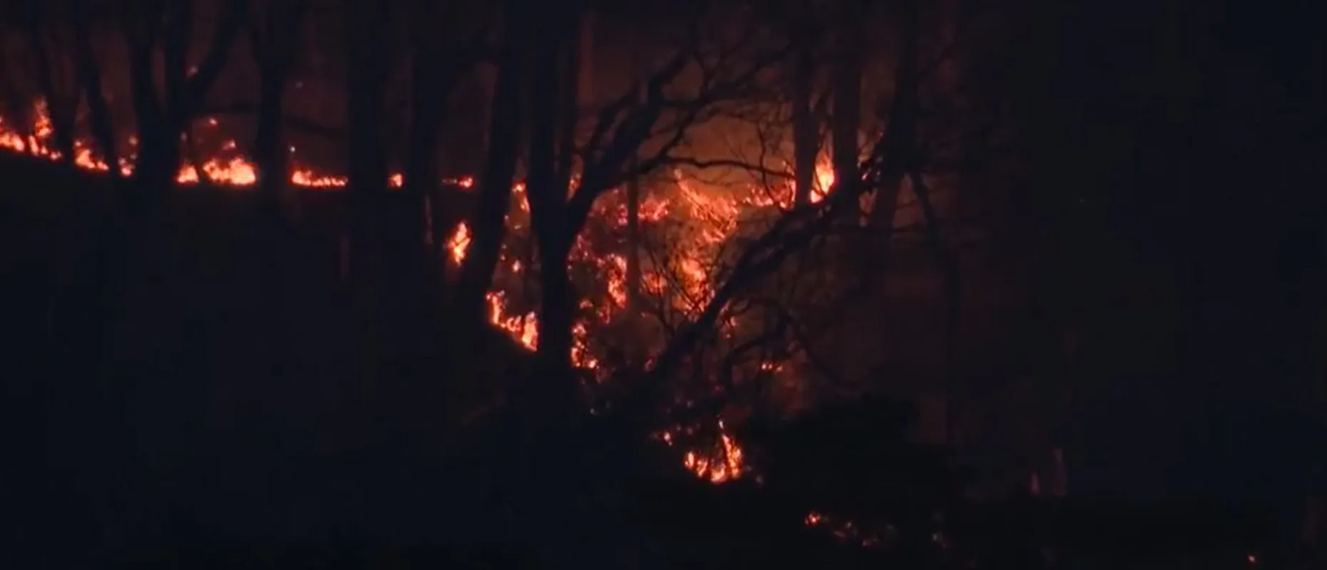 Cháy rừng tại Nhật Bản trong đêm