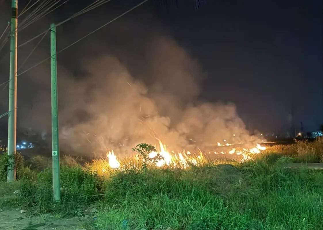Đám cỏ ven Quốc lộ N2 bốc cháy do người dân bất cẩn vứt tàn thuốc. Ảnh CTV