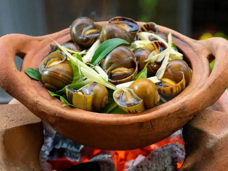 voh-cach-luoc-oc-ngon-de-kheu-2