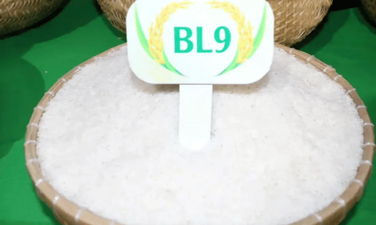 ảnh minh họa + thumb  (1)