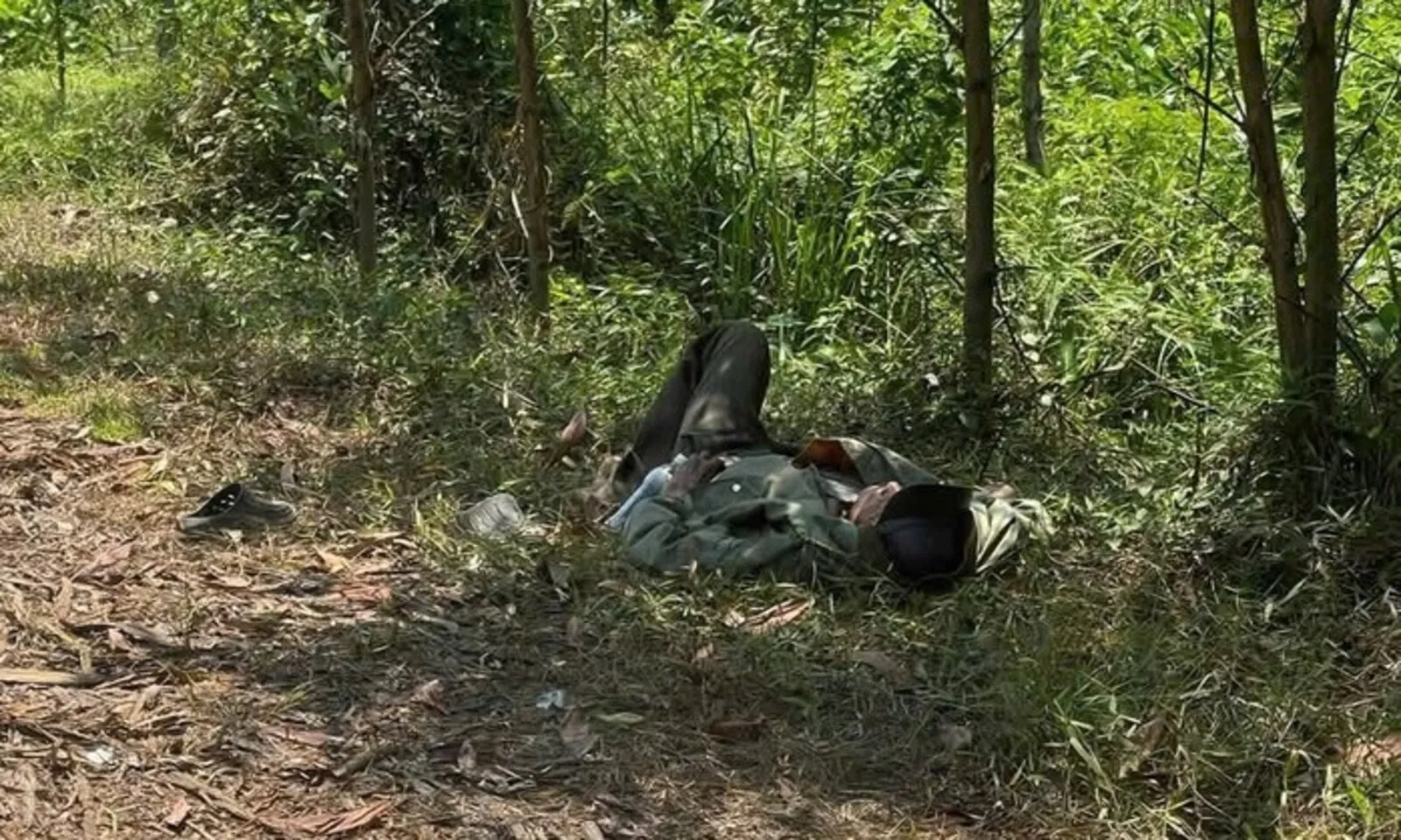 Cụ ông 79 tuổi kiệt sức giữa rừng tràm, mang theo thỏi vàng nghi SJC – Hình 1